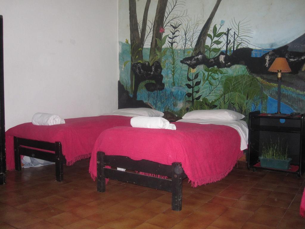 Hotel Minerva Buenos Aires Room photo